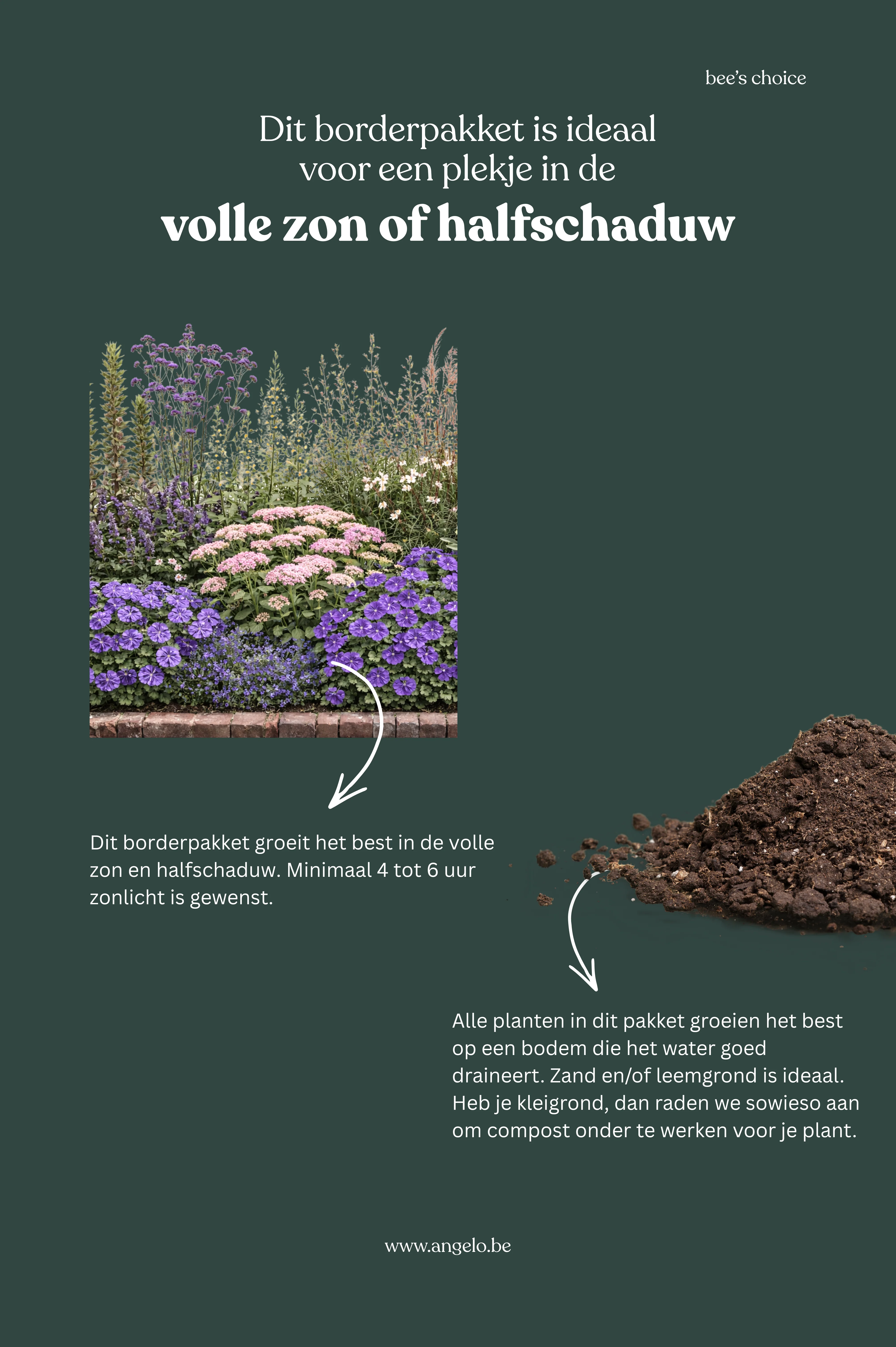 Borderpakket: Bee's Choice - Image 2