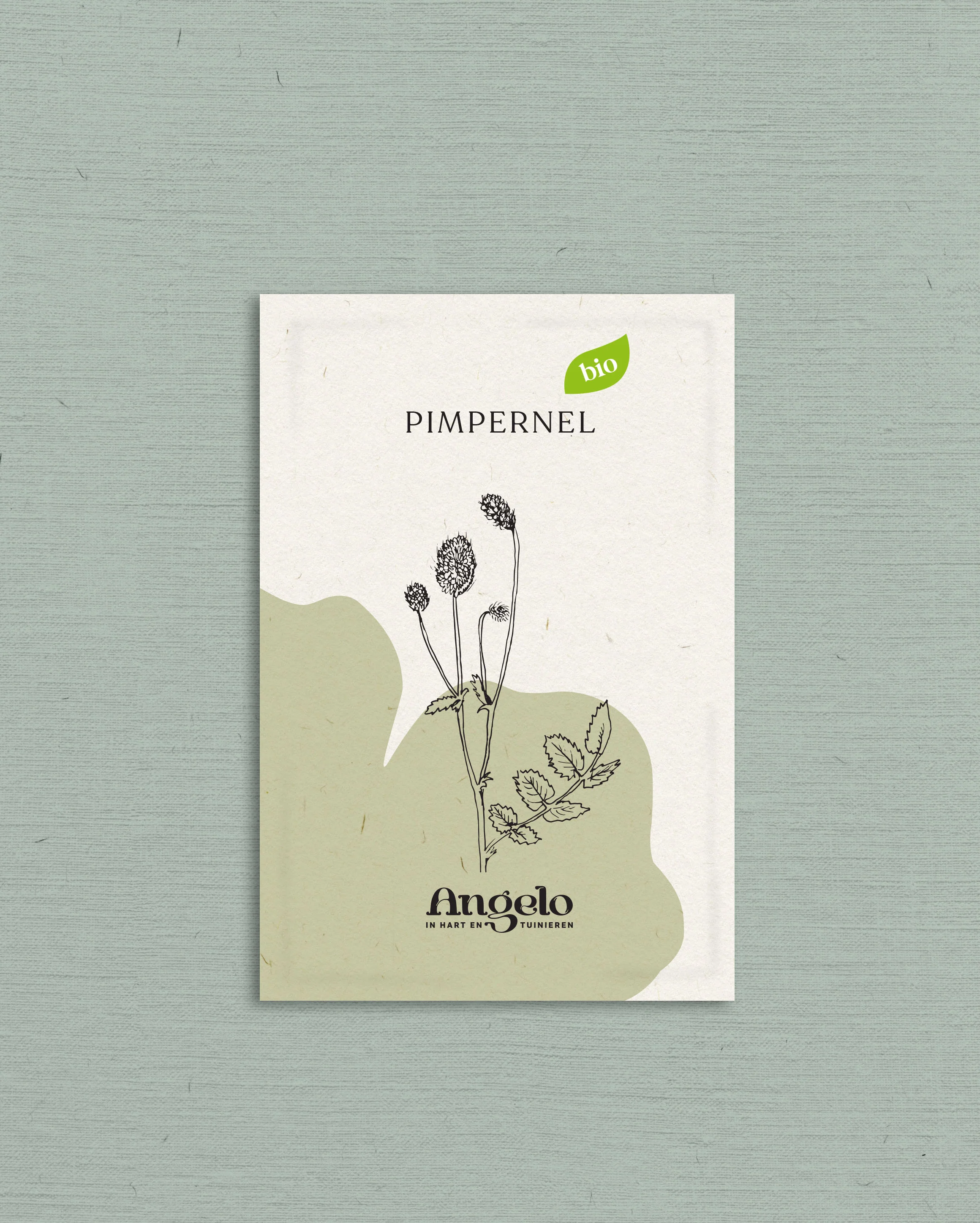 Pimpernel - Image 2